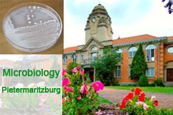 Microbiology - Pietermaritzburg - UKZN